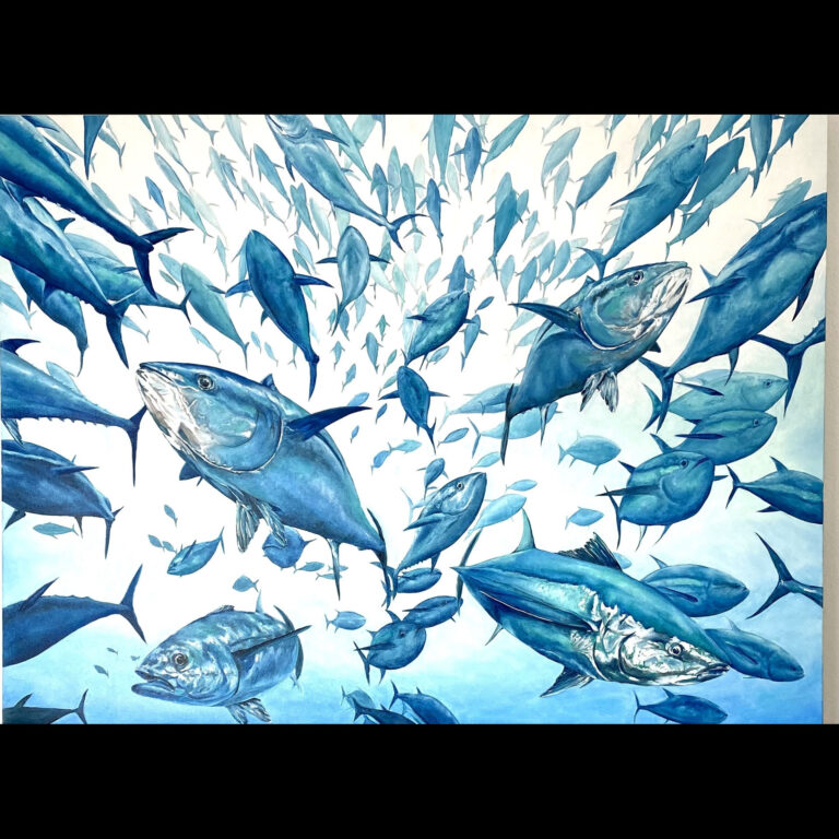 Atlantic Tuna