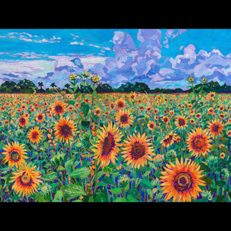 Field of Sunshine
