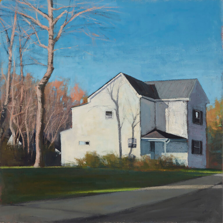 Shaded House