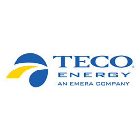Teco Energy logo