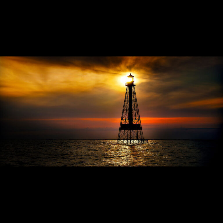 Reed_photography_03_2025