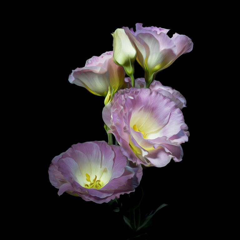 Roderick_photography_01_2025