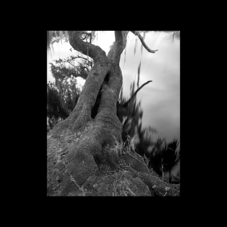 Tilton_Photography_01_2026
