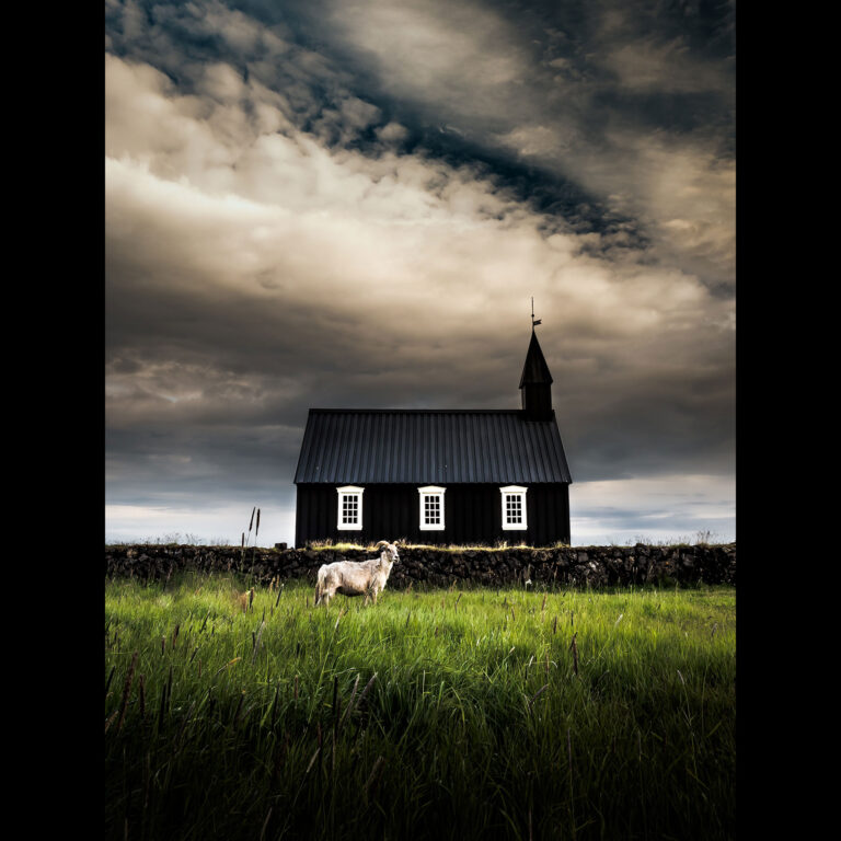 Scanlan_Photography_01_2026